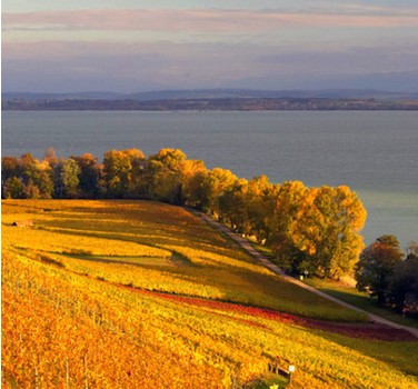 澳门新葡京入选全球20座最具标志性大楼